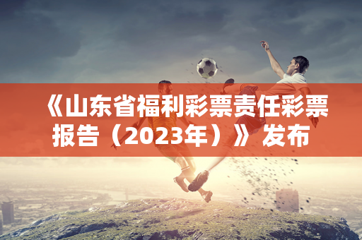 《山东省福利彩票责任彩票报告（2023年）》 发布