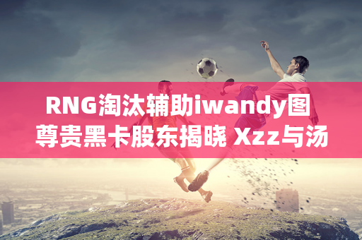 RNG淘汰辅助iwandy图 尊贵黑卡股东揭晓 Xzz与汤圆轮换