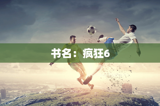 书名：疯狂6